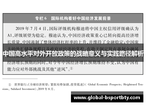 中国高水平对外开放政策的战略意义与实践路径解析